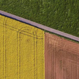 Rules For The Care Of Large Fields